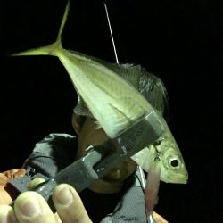 ルアーでアジング